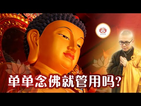 单单念佛就管用吗？👼  | 净本法师 主讲