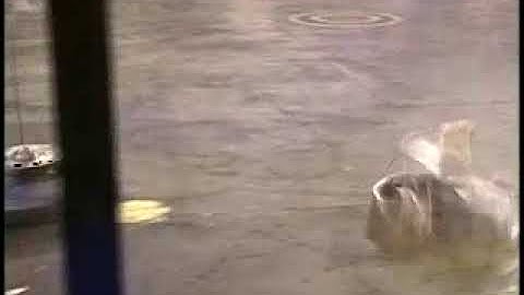 BattleBots Season 2.0: Ziggo vs Scrap Metal part 2