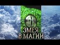 Змея. Тотем, дух и сущность Змеи в магии прямых порталов. (Качества духа Змеи?)