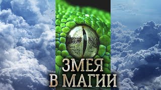 Змея. Тотем, дух и сущность Змеи в магии прямых порталов. (Качества духа Змеи?)