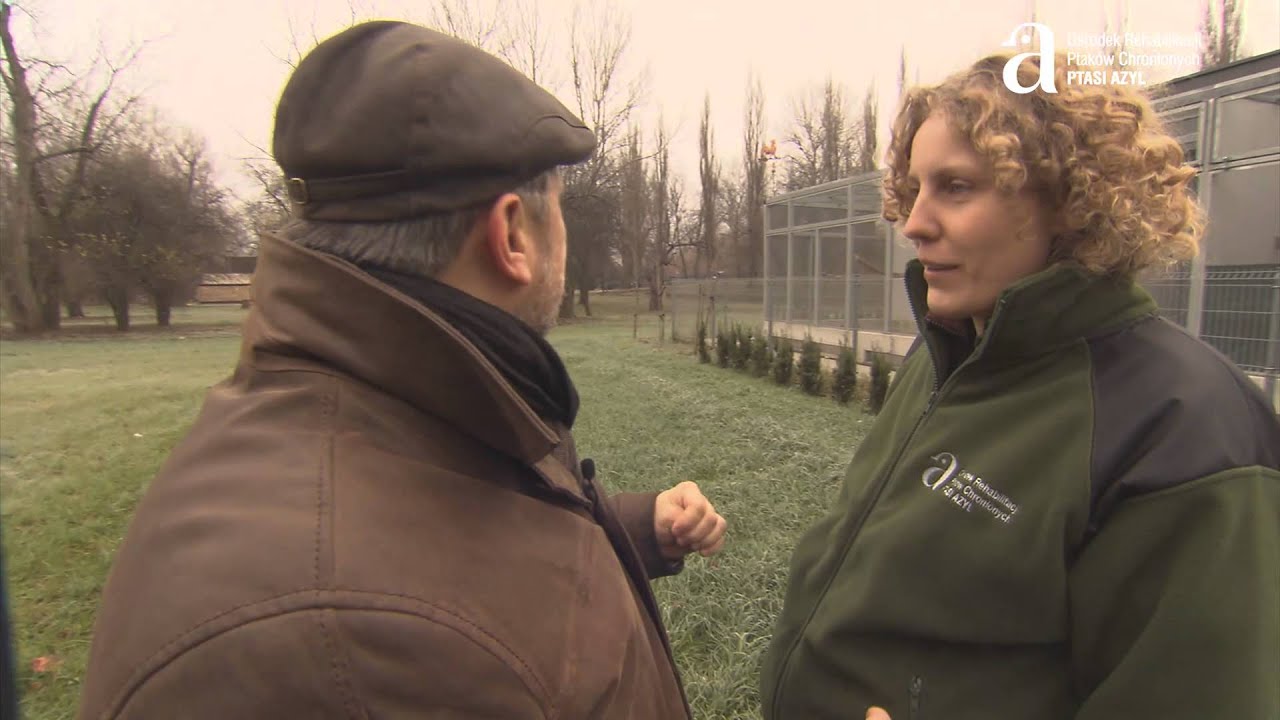 Ptasi Azyl - Historia