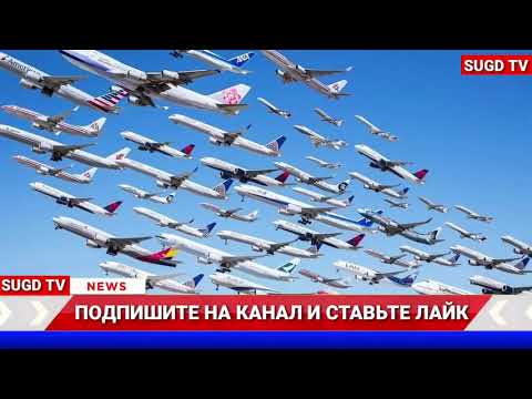 Стало известно расписание авиарейсов между Москвой и Душанбе