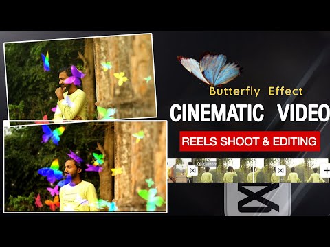 Cinematic Butterfly Effect