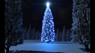 Christmas Love - In Wintertime • Frank  Moody
