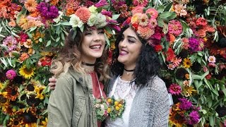 Outside Lands Festival Experience