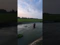 Gek piye Iki #mancing #mancingceria #shorts