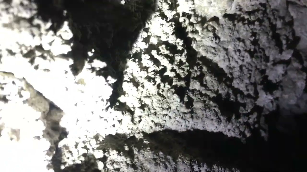 Č2-Prieskum jaskyne v Dutej skaleGPS-48°58'44.700"N 18°43'32.584"E