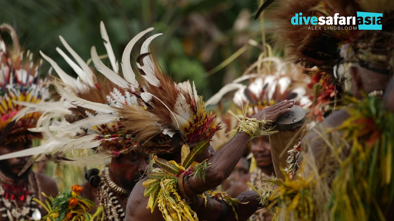 Papua New Guinea - Dive Safari Asia