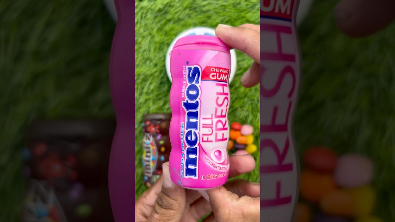 Котенок Орена гонится за своей бабушкой 