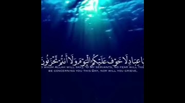 آيات الطمأنينة
