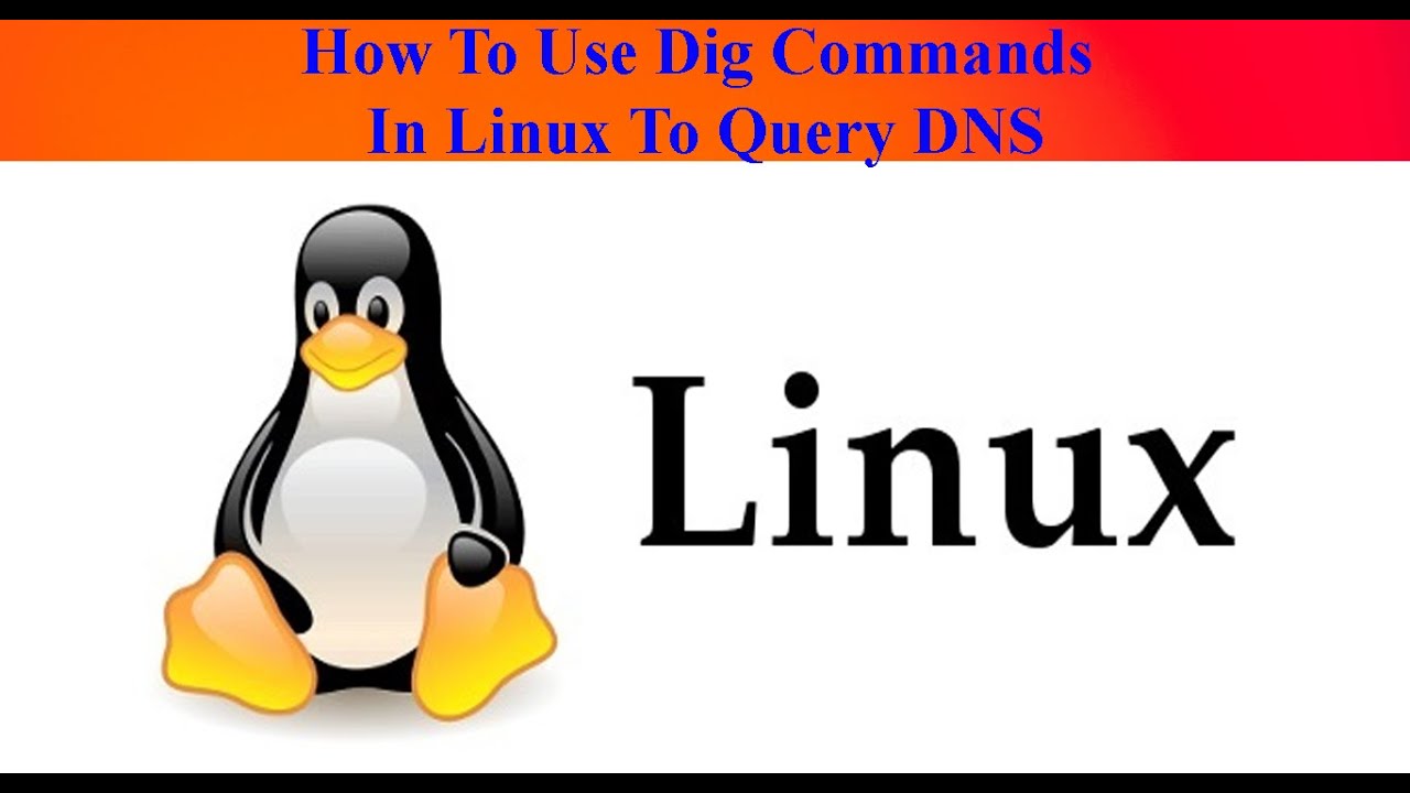 How To Use Dig Commands In Linux To Query DNS | ITTrainingsByUmarDraz ...