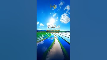 القارئ |أنور الشرعبي #قرآن #تلاوات