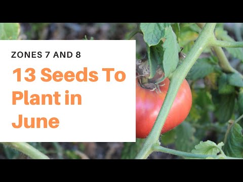 Videó: 8. zóna cserjefajtái – Bokrok termesztése a 8. zóna kertjében