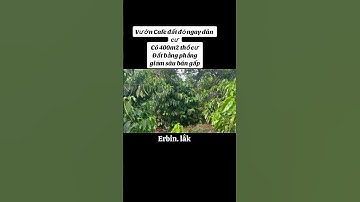 [ Short ] Hạ sập sàn 1 hecta cf đất đỏ ngay dân cư, có 400m2 thổ cư#bdsdautu48