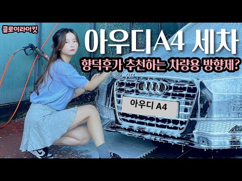 리본카 - 중고차, 시스템으로 바로잡다.