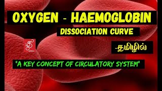 OXYGEN HAEMOGLOBIN DISSOCIATION CURVE | HAEMOGLOBIN SATURATION CURVE  IN TAMIL