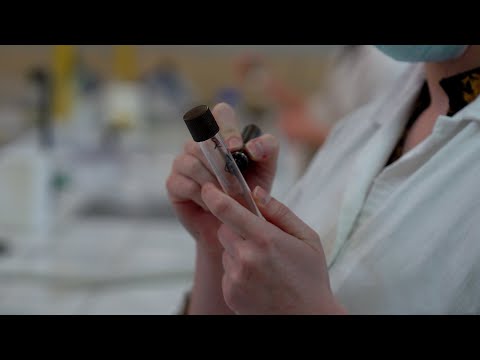 IUT AMIENS FILM GÉNIE BIOLOGIQUE