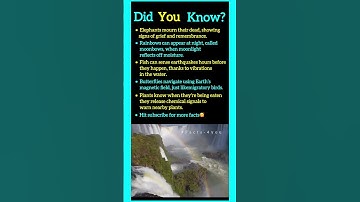 Butterflies navigate using Earth