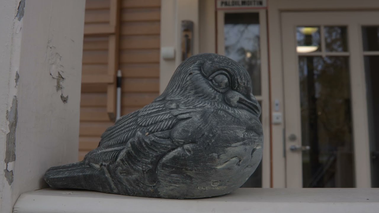 Varakoti Varpunen Lieksa // Urapolkutarina