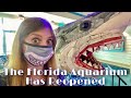 The Florida Aquarium in Tampa Reopens | Social Distancing Markers, Crowds & Walk Through Tour!