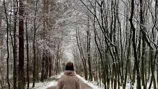 Sneeuw in Brasschaat