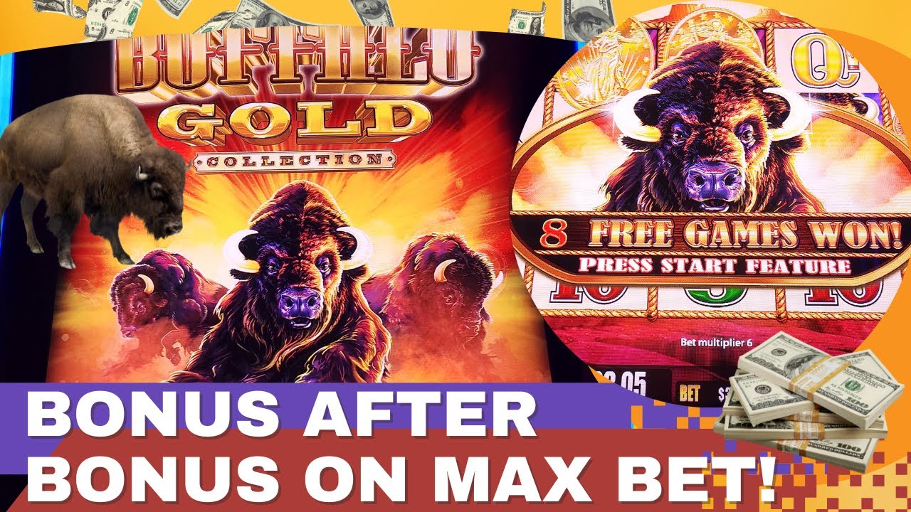 MAX BET on BUFFALO GOLD CLASSIC! Multiple Bonus Rounds! 