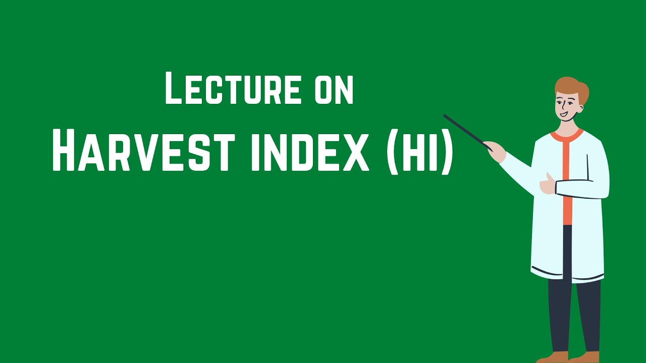 What Is The Harvest Index Of Rice