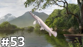 New Fishery, New Fish! Nicaragua Lake! Fishing Clash Gameplay Ep53 screenshot 4