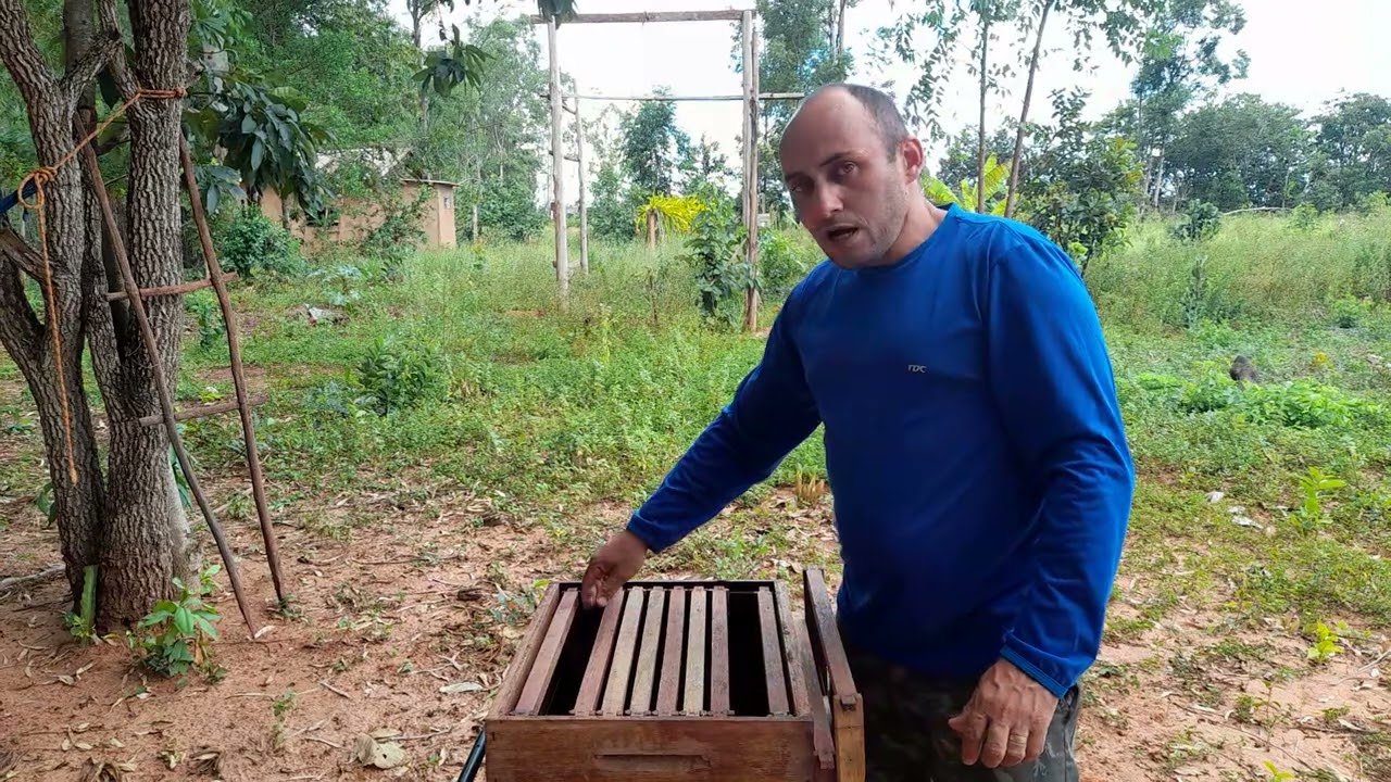 o porque de trabalhar com ninho e sobre ninho