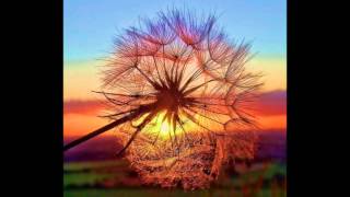 منى مرعشلي - تركني