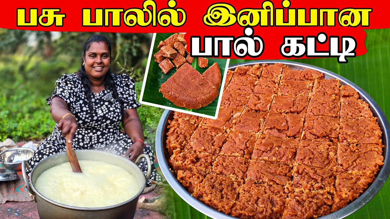 பசுப்பாலில் இலகுவாக செய்யக்கூடிய பால்கட்டி | our village life | our cooking | vanni vlog