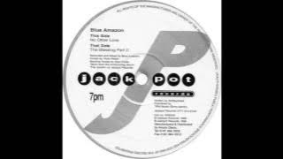 Blue Amazon - The Blessing Part II (Vinyl Rip)