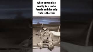 Just The Random Meme 31