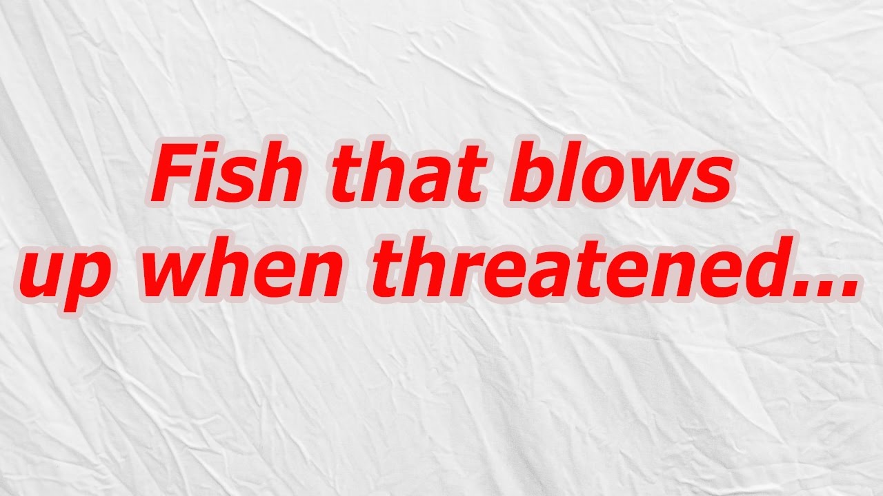 Fish that blows up when threatened (CodyCross Answer/Cheat) YouTube