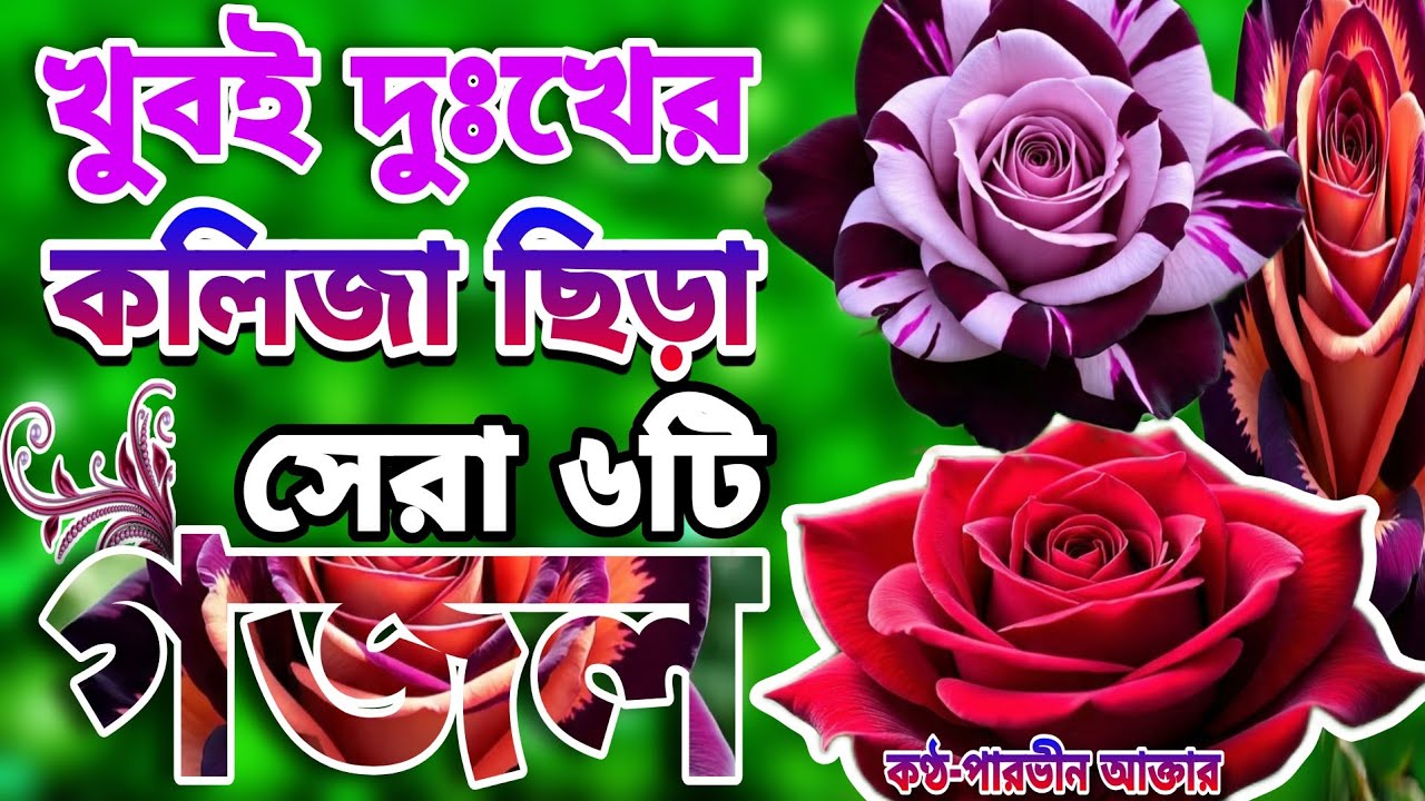 খুবই দুঃখের কবরের শেষ বিদায়ের মায়াবী কন্ঠে মনপ্রাণ জুড়ানো সেরা ৬টি গজল।গুনারও সাগরে। Bangla Gojol