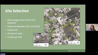 Habitat Restoration for Monarch: How and where should we do it? Winter Webinar Series