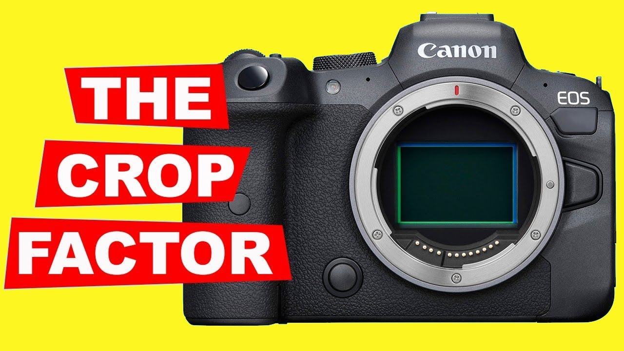 PHOTOGRAPHY TIPS THE CROP FACTOR EXPLAINED FOR BEGINNERS Full Frame Vs Cropped Sensors