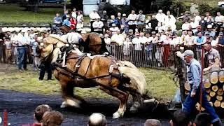 Tucker County History - Hick Fair (Festival)