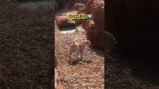 CLARIDAD Y DISCERNIMIENTO ES LOQ ME CARACTERIZA AHORA YA;CONFIADA YSEGURA YA SOY AQUÍ HOY GRACIAS SÍ