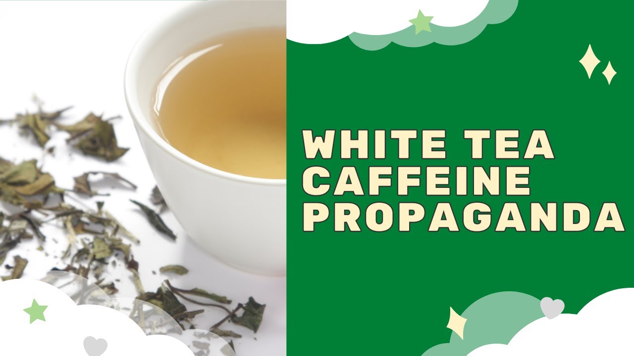 White Tea Caffeine YouTube