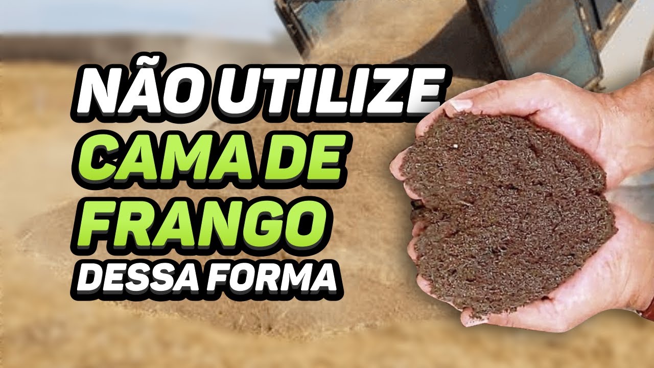 CUIDADO AO UTILIZAR A CAMA DE FRANGO