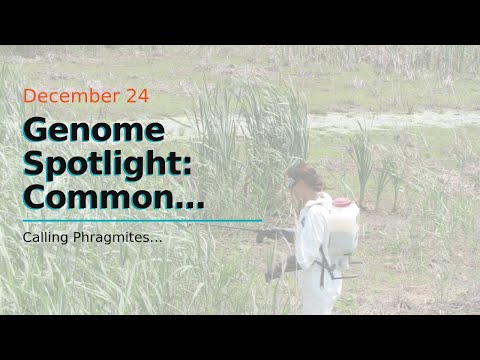 Genome Spotlight: Common