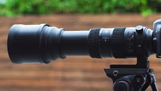 Why You'd Use a 600mm Super-Telephoto Lens screenshot 5
