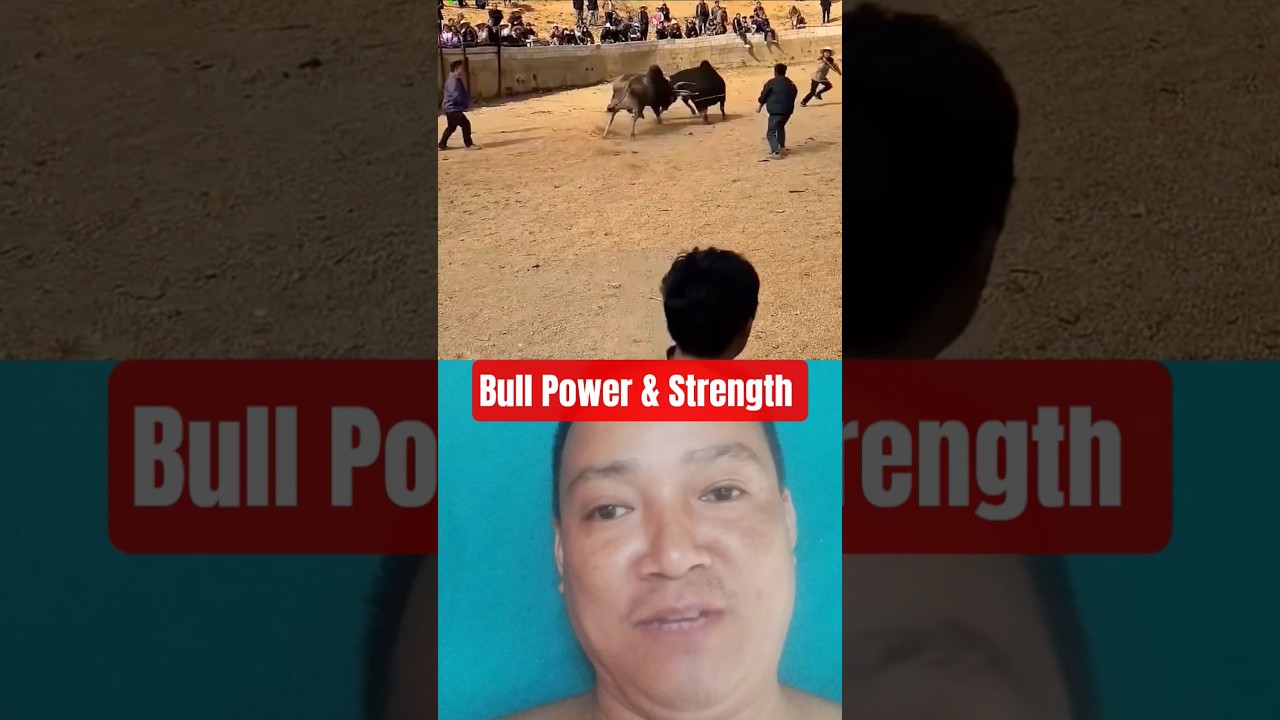 Bull 🐂 Power & Strength|