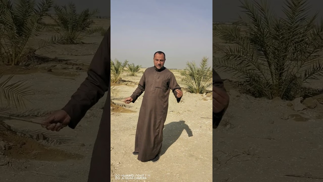 الفرافرة ١٢٥ فدان للبيع، شركة عوض الله للاستثمار 01033229010 01555998814