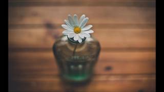 Muvaffakiyetleştiriveremediklerimizdenmişsinizcesine..