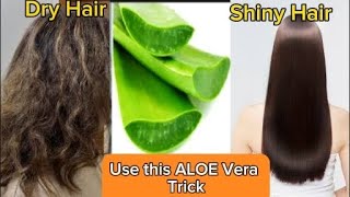 Homemade Aloe Vera| Turn dry hair into shiny hair naturally | 100% results| Aloe Vera Gel for hair~