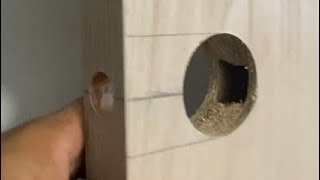 Cómo hacer perforación para chapa cerradura de puerta y medidas
