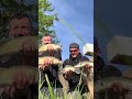 These Zander were hungry so we made the most of it #zander #fishing #deadbait #predatorfishing #fish