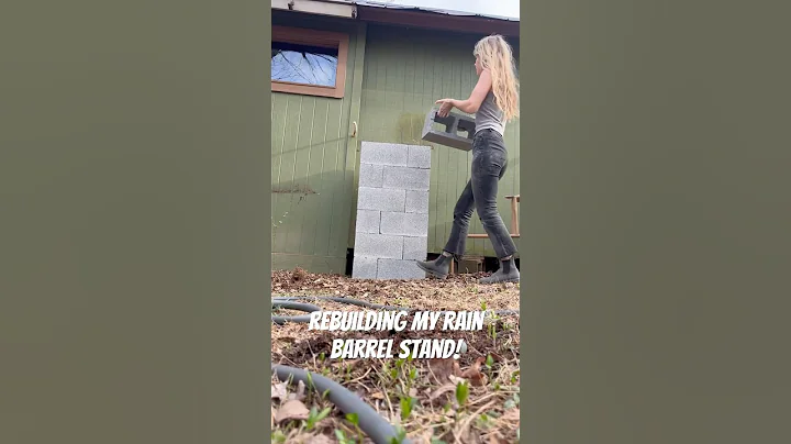 My #rainbarrel stand had rotted and was long over due for a fresh #remodel. #rainwater #diy